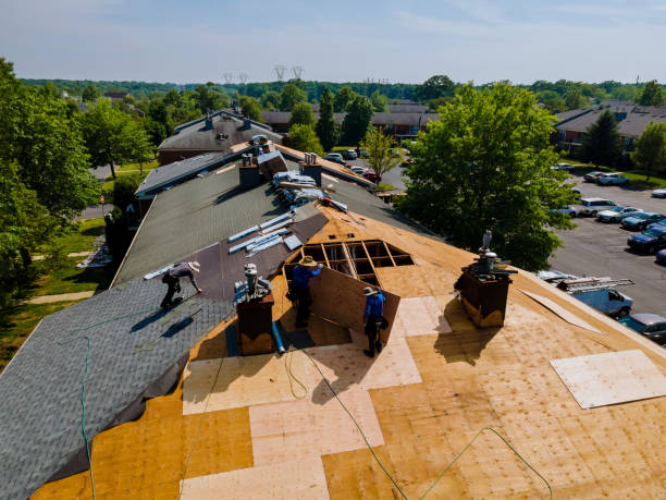 Best Flat Roof Repair Services  in Marion, KS